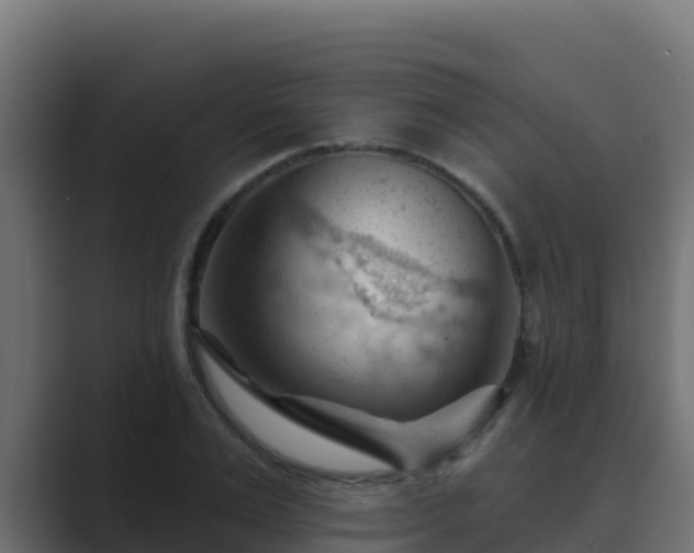 X0000089680983200706281354