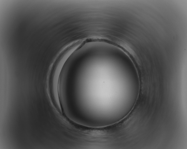 X0000089680984200706281354