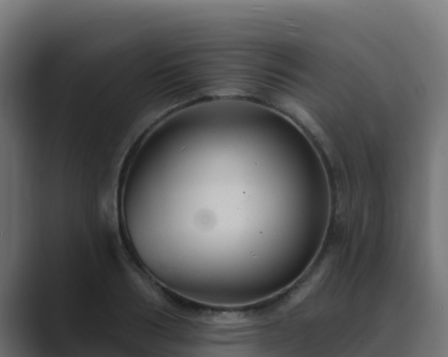 X0000089680986200706281354
