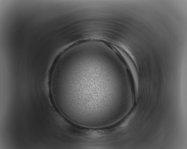 X0000089680987200706281354