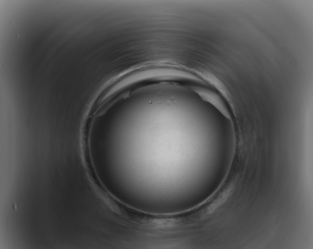 X0000089680989200706281354