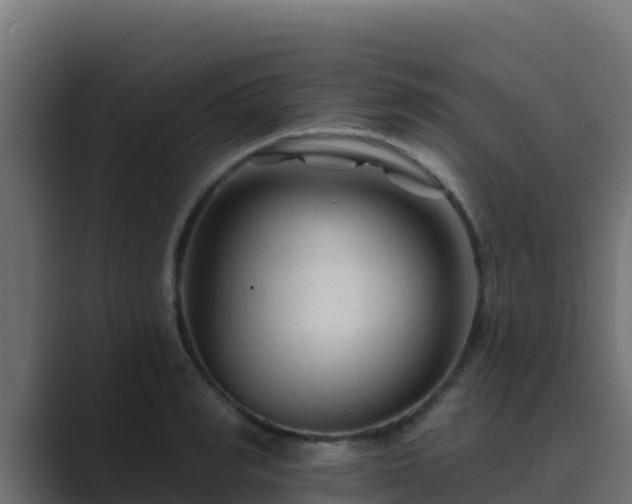 X0000089680990200706281354