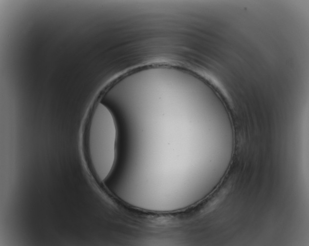 X0000089680991200706281354