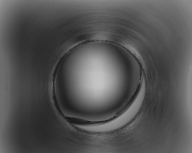 X0000089680992200706281354