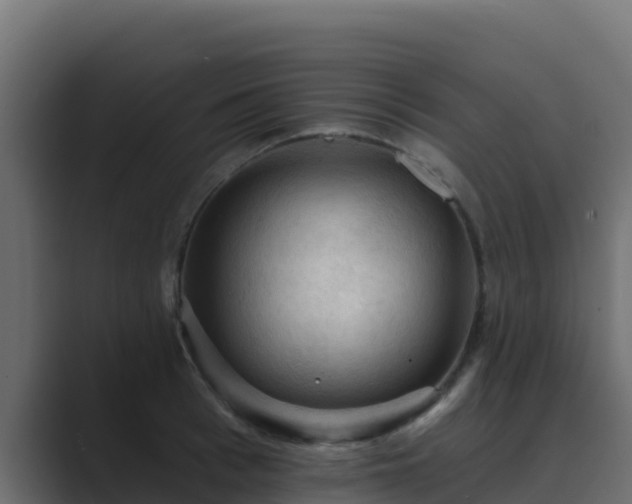 X0000089680993200706281354