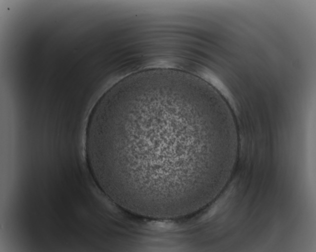 X0000089680994200706281354