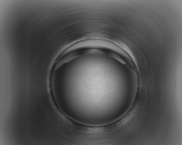 X0000089680997200706281354