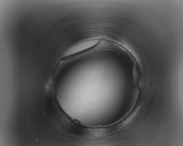 X0000089681001200706281354