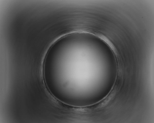 X0000089681004200706281354