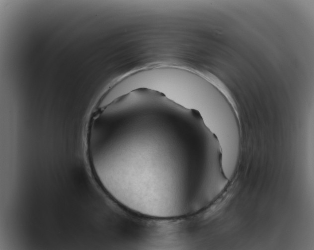 X0000089681005200706281354
