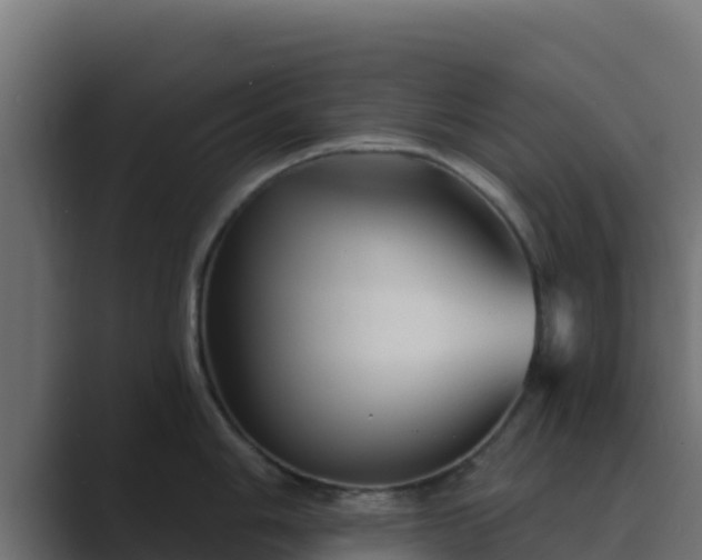 X0000089681006200706281354
