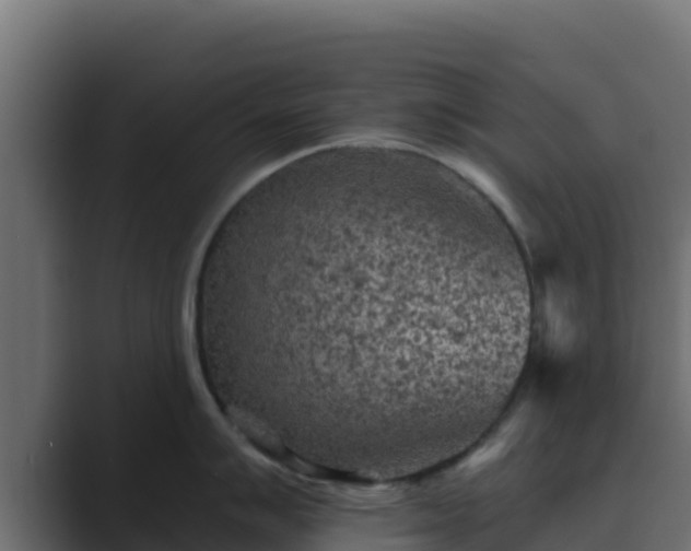 X0000089681007200706281354