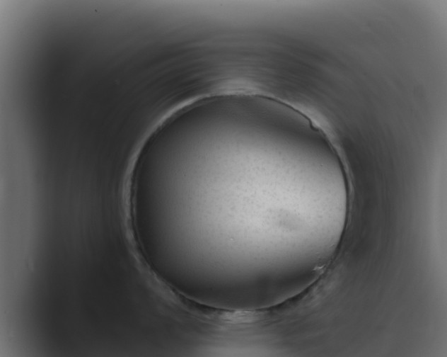 X0000089681008200706281354