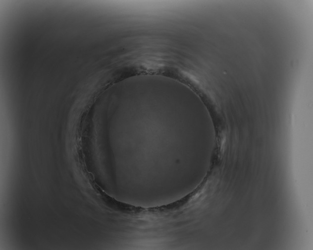 X0000089681009200706281353