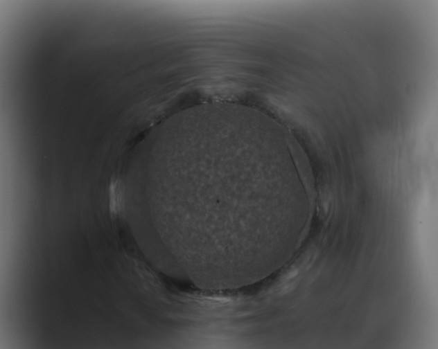 X0000089681010200706281353