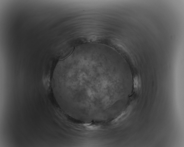 X0000089681011200706281353
