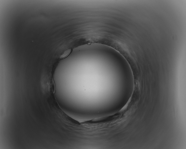 X0000089681012200706281353