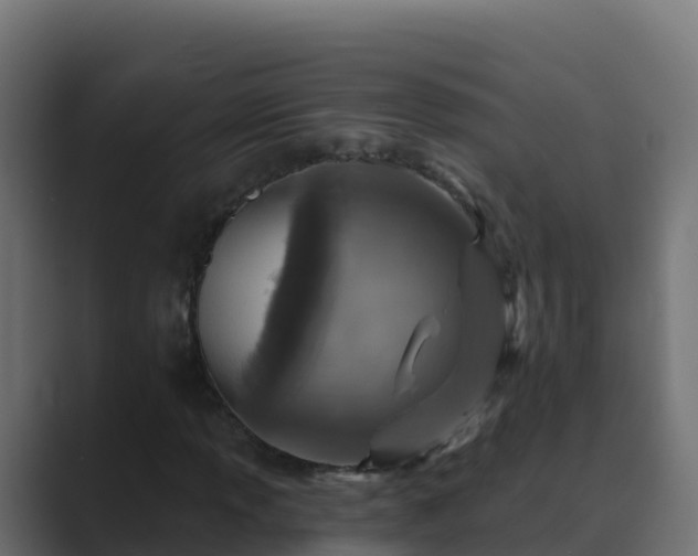 X0000089681013200706281353