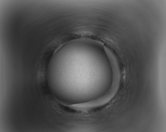 X0000089681014200706281354