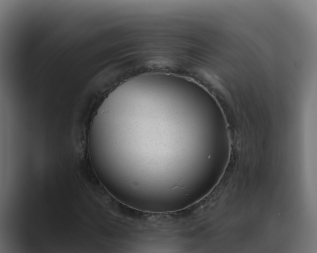 X0000089681015200706281354