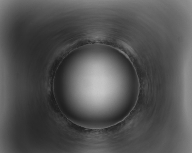 X0000089681016200706281354