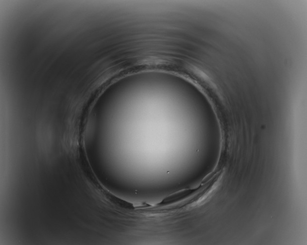 X0000089681017200706281354