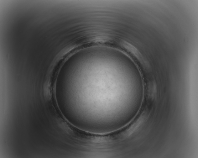 X0000089681018200706281354