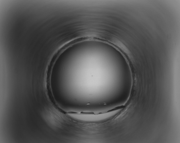 X0000089681020200706281354