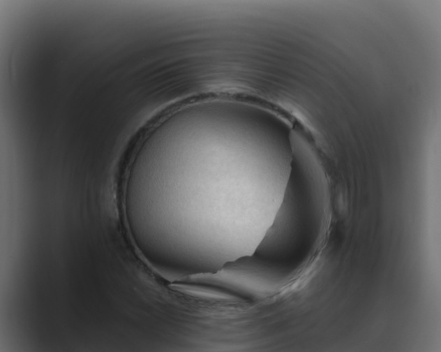X0000089681022200706281354