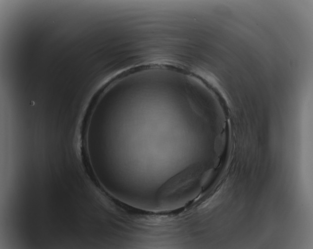 X0000089681024200706281354
