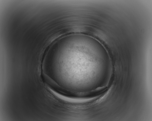 X0000089681025200706281354