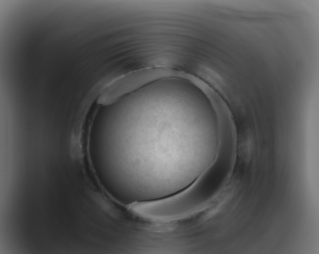X0000089681026200706281354