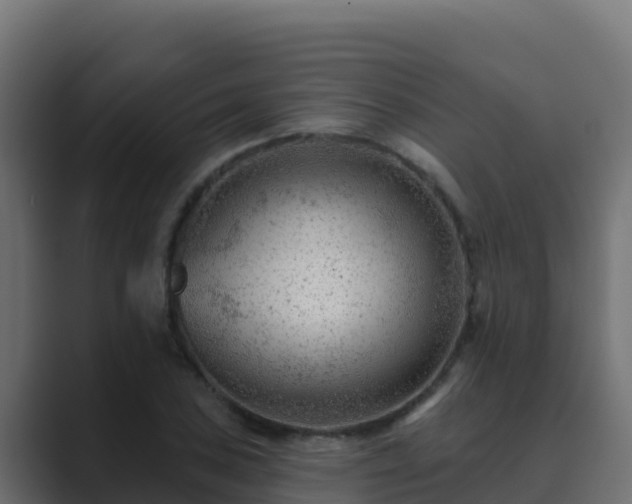 X0000089681027200706281354