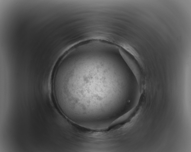 X0000089681028200706281354