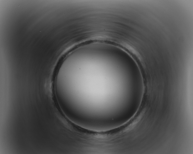 X0000089681029200706281354