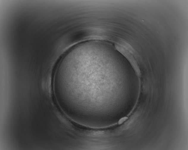X0000089681030200706281354