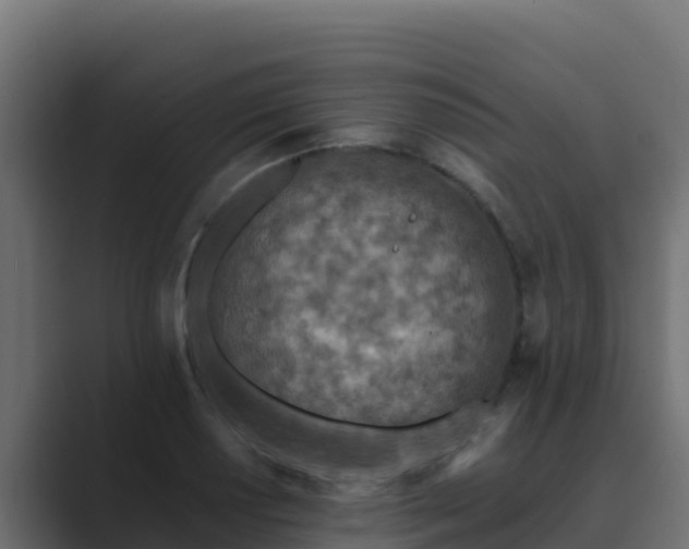 X0000089681034200706281354