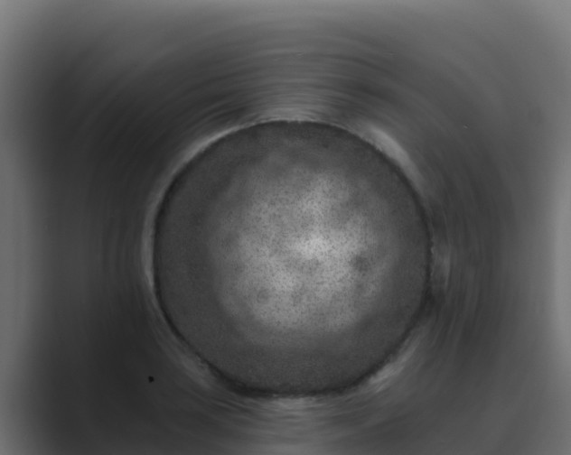 X0000089681035200706281354