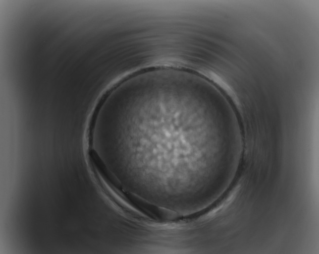 X0000089681037200706281354