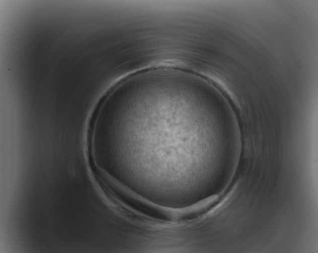 X0000089681038200706281354