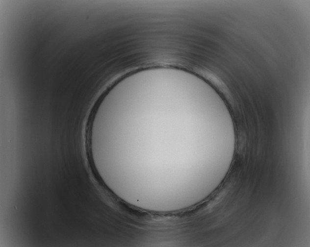 X0000089681039200706281354