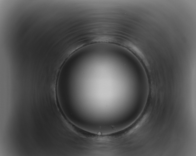 X0000089681041200706281354