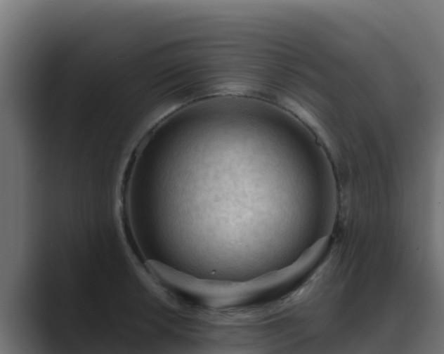 X0000089681042200706281354
