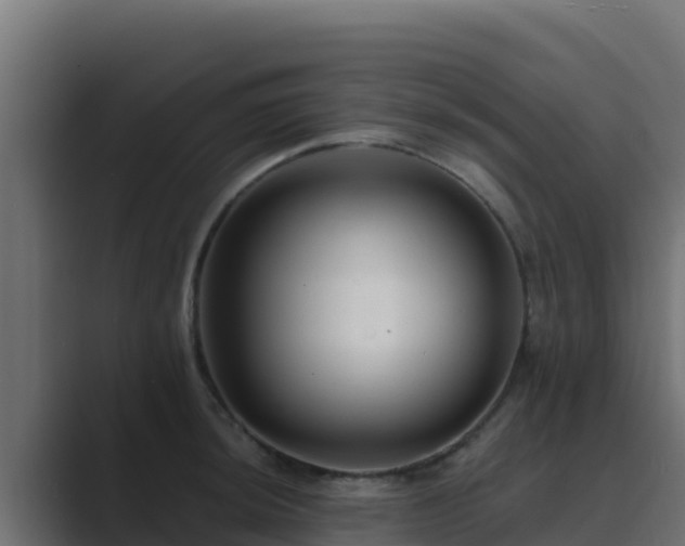 X0000089681044200706281354