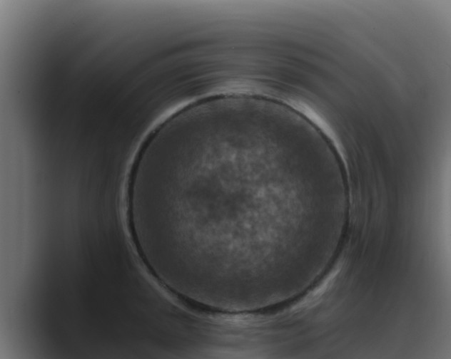 X0000089681045200706281354
