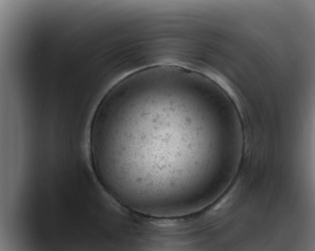 X0000089681048200706281354