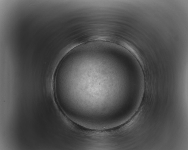 X0000089681050200706281354