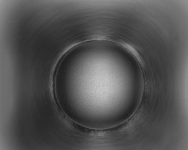 X0000089681051200706281354