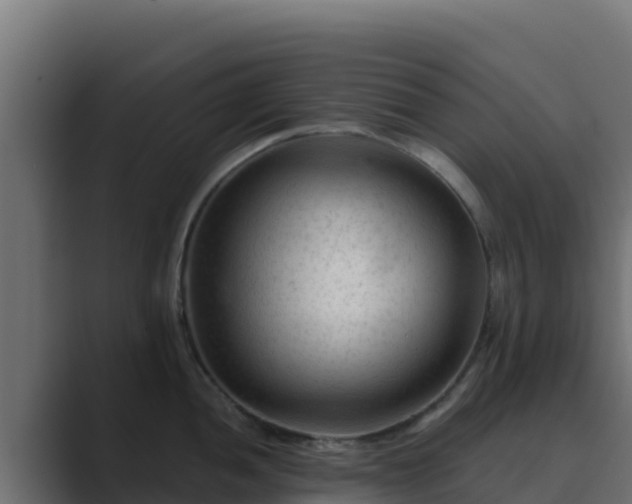 X0000089681052200706281354