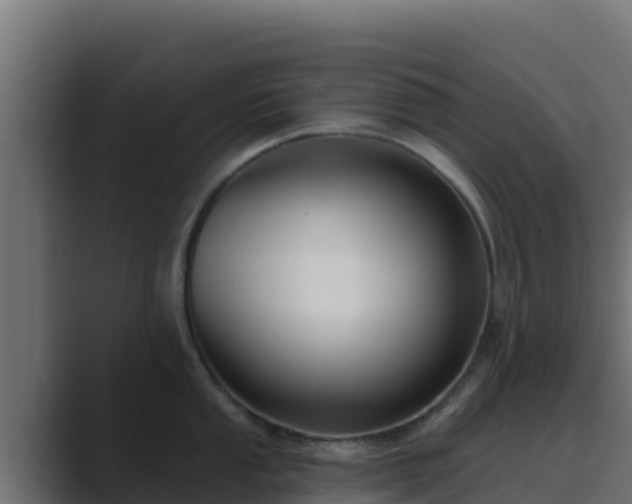 X0000089681053200706281354